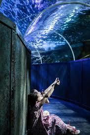 Grand Aquarium de Touraine