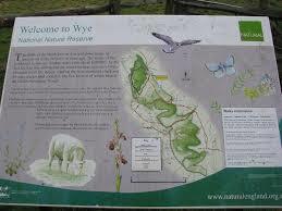 Wye National Nature Reserve