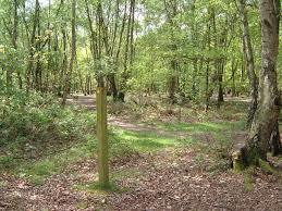 Brereton Heath Local Nature Reserve