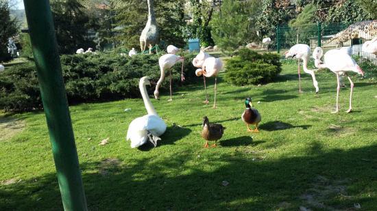 Canakcilar Hayvanat Bahcesi ve Botanik Park