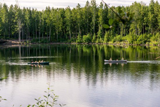 University Lake Dog Park