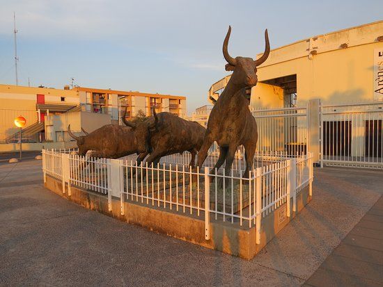 Arenes du Grau du Roi