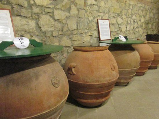 Museo Del Vino