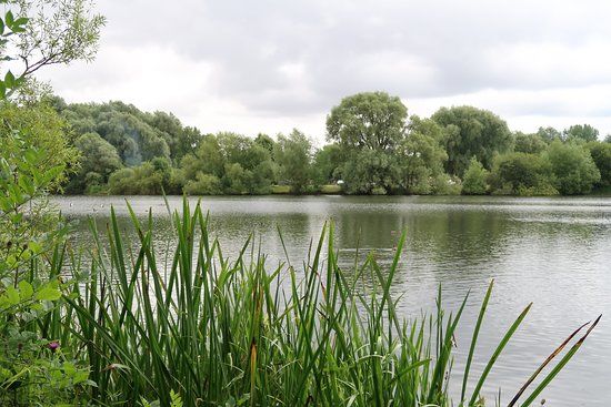 Emberton Country Park