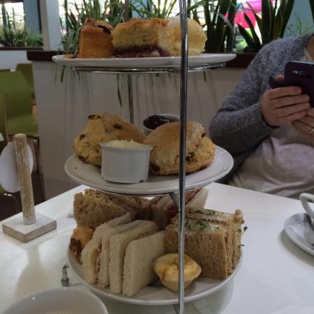 Coletta & Tyson Garden Centre