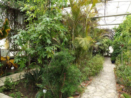 Botanic Garden Stavroupolis