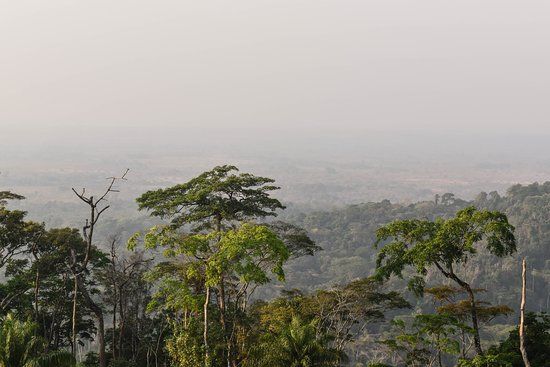 Mount Nimba Strict Nature Reserve