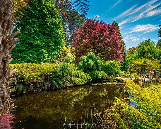 Dandenong Ranges Botanic Garden
