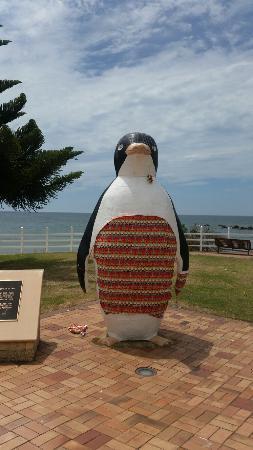 Penguin Foreshore