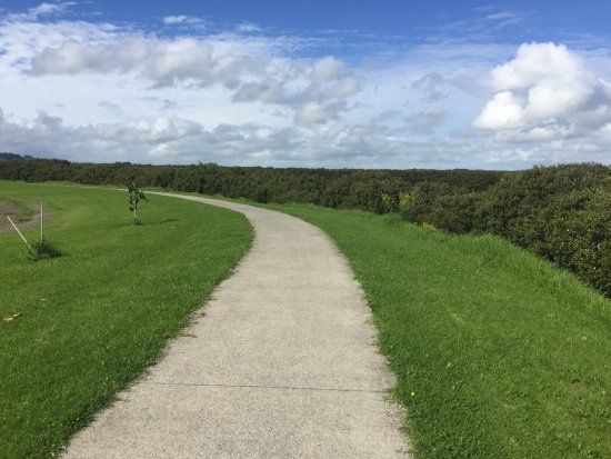 Thames Coastal Walkway