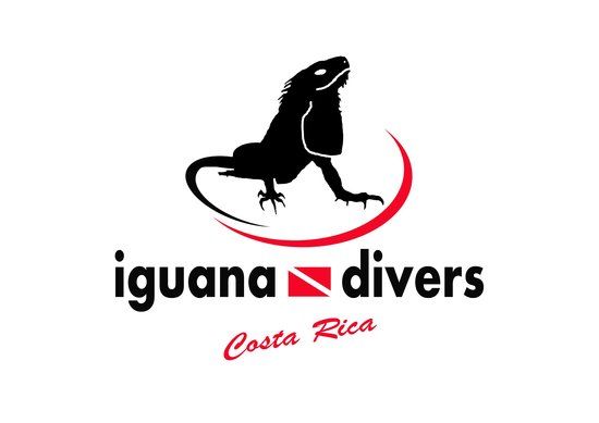 Iguana Divers