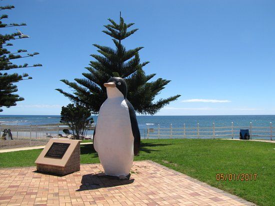 Giant Penguin