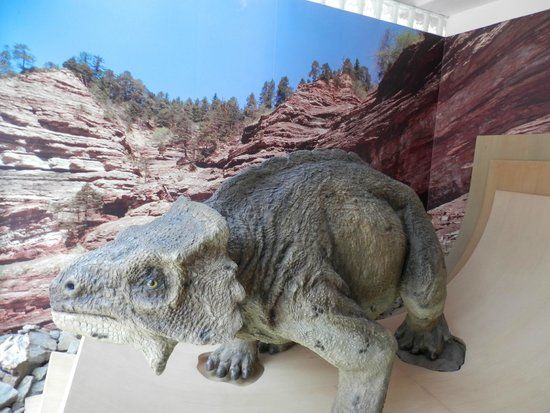 Geological Museum of the Dolomites Predazzo