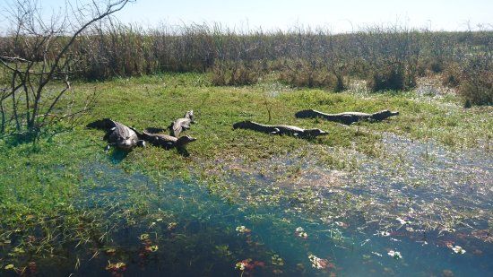 Parque Provincial Ibera