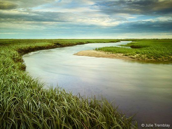 Julie Tremblay Gallery