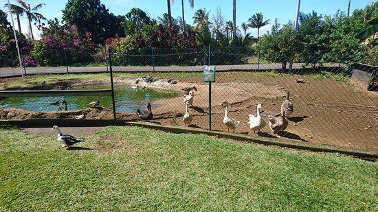 Ferme Pedagogique de Sainte Anne