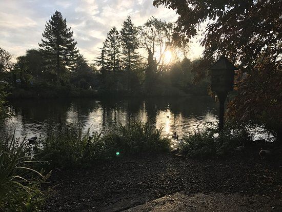 Fishpond Lane Nature Reserve