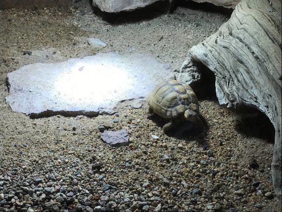 Blekinge Exotiska Varld