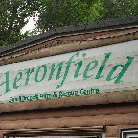 Heronfield Small Breeds Farm and Animal Rescue Centre