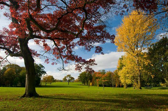 Stoke Park