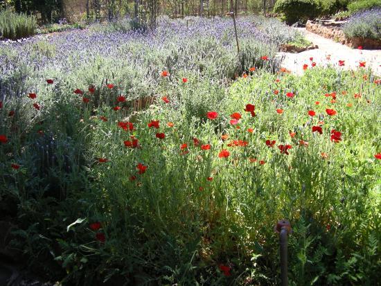 Margaret Roberts Herbal Centre