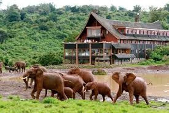 Aberdare National Park