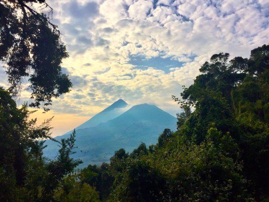 Virunga Volcanoes