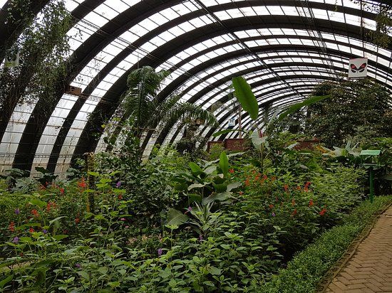 Selvatura Adventure Park