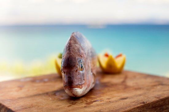 Blue Dolphin Restaurant