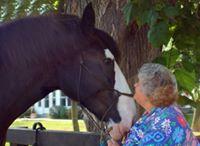 Raising Cane's Chicken Fingers