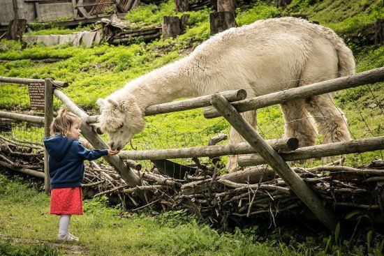 Fairmont Funtasia Fun Park