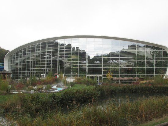 Subtropical Swimming Paradise