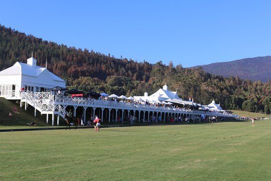 Plettenberg Bay Polo