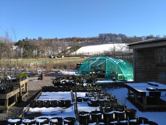 Whitmuir The Organic Place