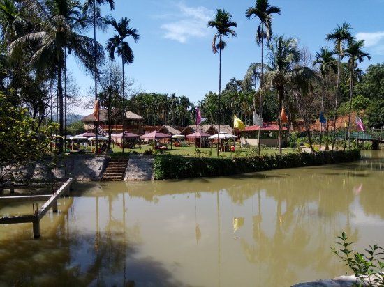 Panacea- The Village