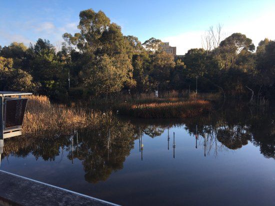 Jock Marshall Reserve