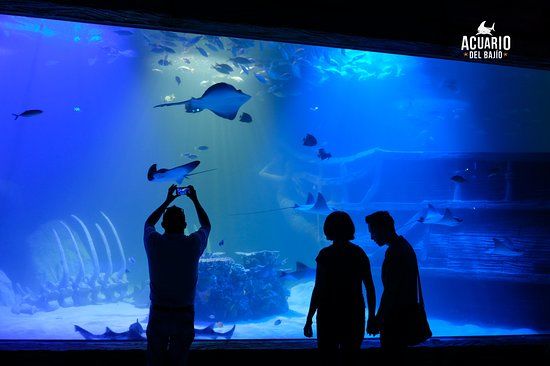 Aquarium Bajio