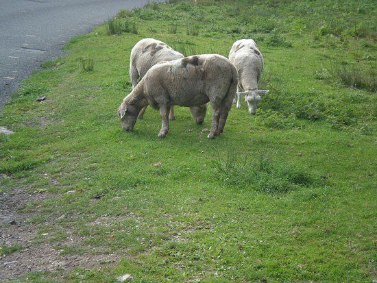 Nagshead Nature Reserve