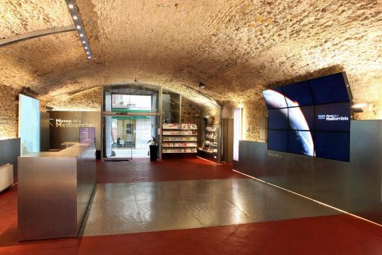The Museum of the Mediterranean