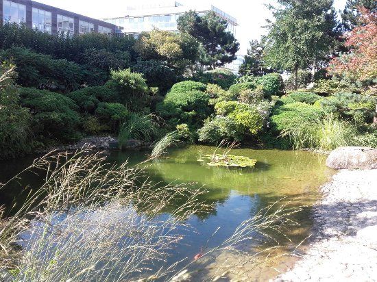 Jardin Japonais