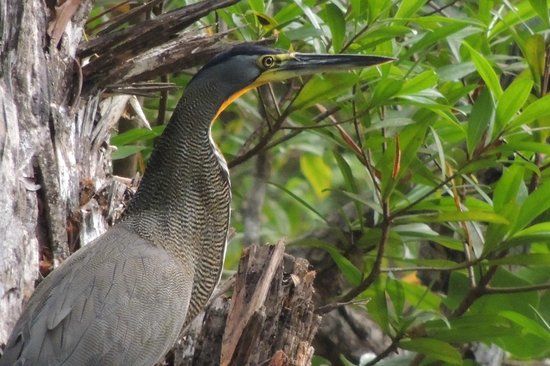 O Parks, WildLife and Recreation