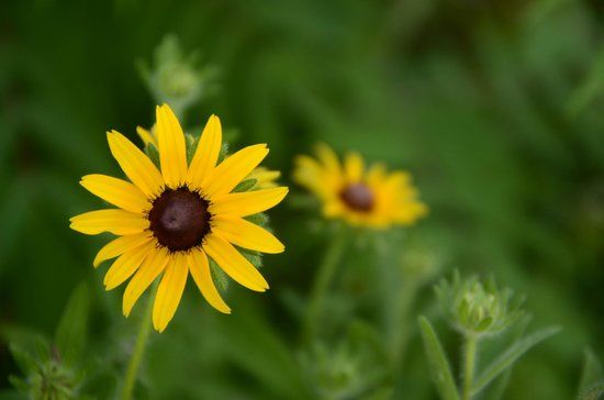Chattanooga Riverwalk