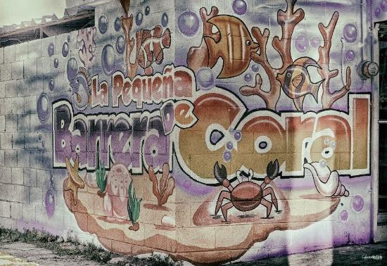 La Pequena Barrera de Coral