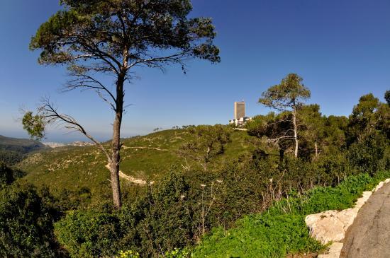 Carmel Mountain National Park