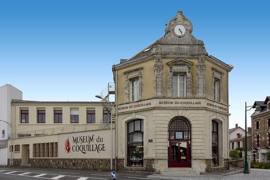 Museum of Shell