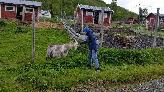 Tromso Mini Zoo