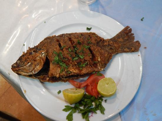 El Salam Nile & Seafood Restaurant