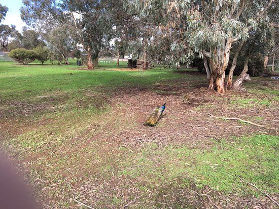 Lions Club Fauna & Wetlands Park