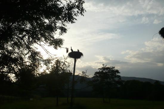 Le Musee du Vigneron