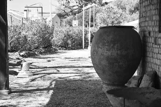 Musee gallo-romain de Tauroentum